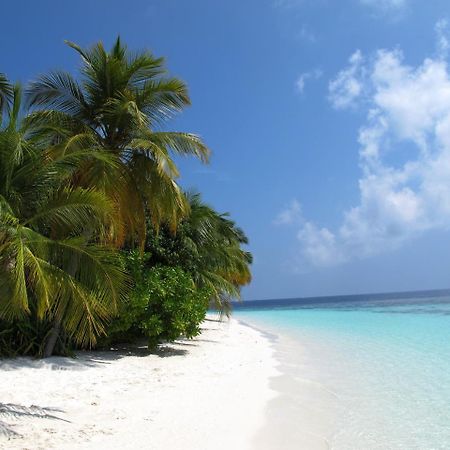 Hotel Equa Reef Maldives à Atoll Addu Extérieur photo
