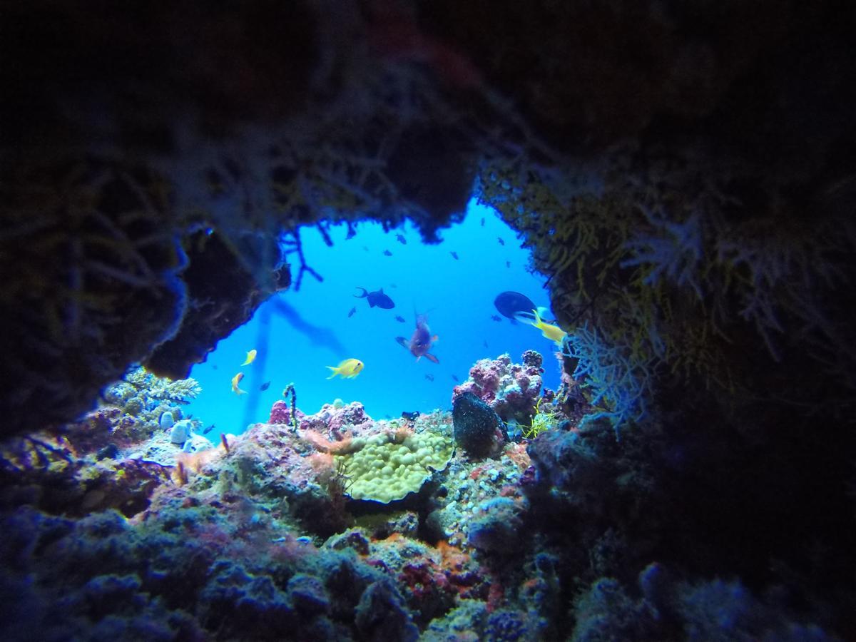 Hotel Equa Reef Maldives à Atoll Addu Extérieur photo