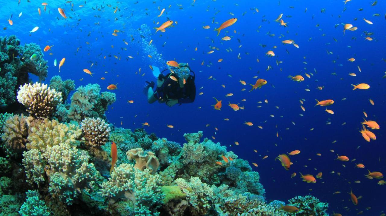 Hotel Equa Reef Maldives à Atoll Addu Extérieur photo