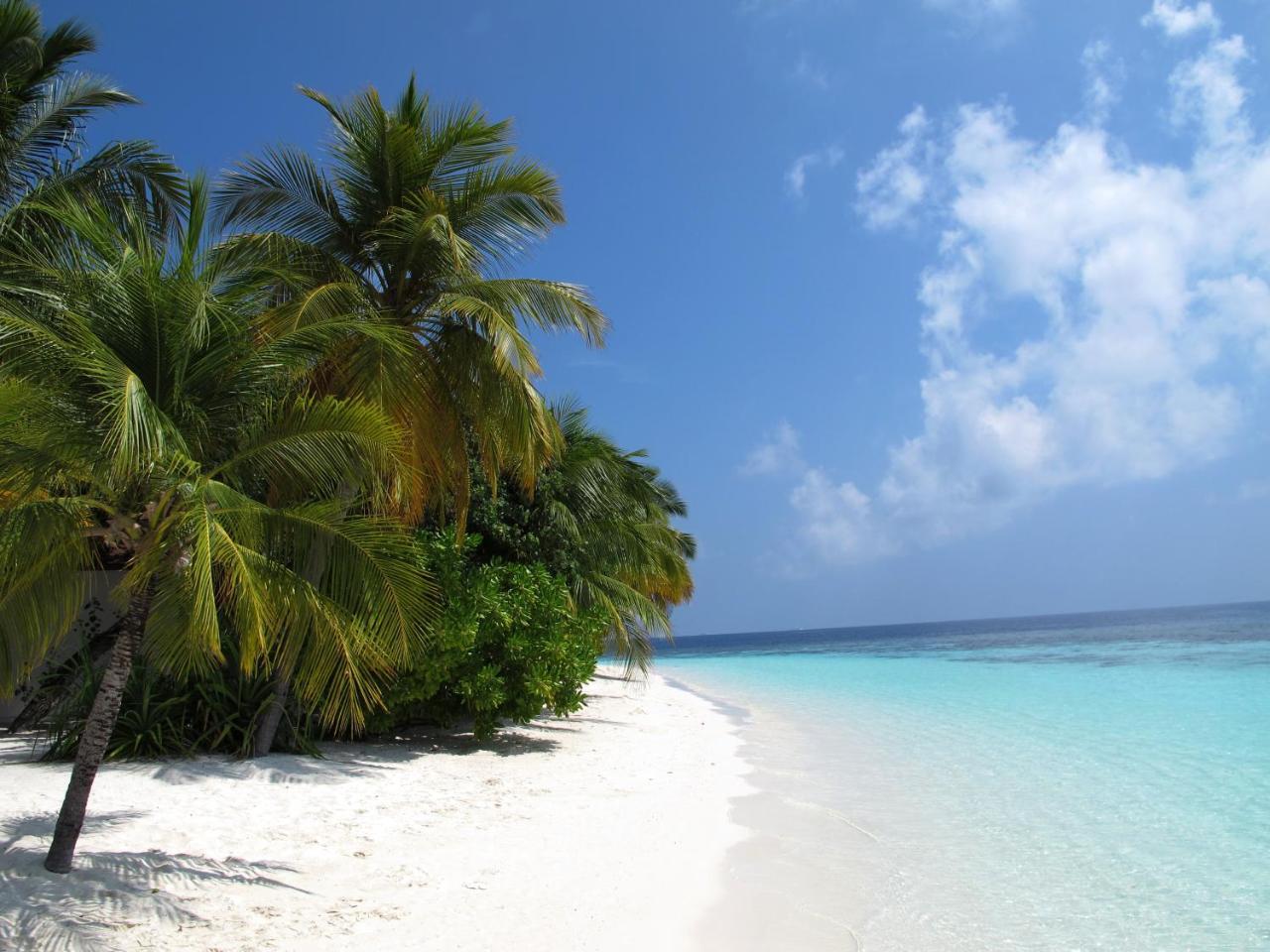Hotel Equa Reef Maldives à Atoll Addu Extérieur photo